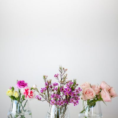 Primavera